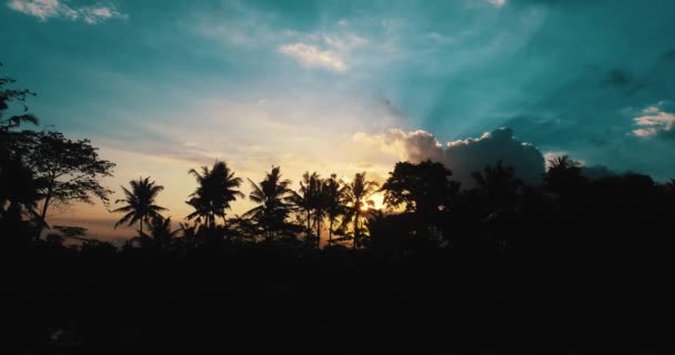 Luftaufnahme Von Erstaunlichen Bewölkten Sonnenuntergang Mit Silhouetten Von Palmen Luftaufnahme — Stockvideo