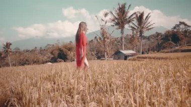 Güzel kadın pirinç tarlaları / güzel pirinç alan - ağır çekimde video boyunca yürüyüş kırmızı şeffaf elbiseli Genç kadın