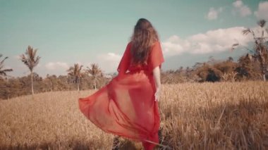 Güzel kadını pirinç tarla / arkadan görünüşü güzel genç kadın kırmızı şeffaf elbiseli pirinç alan - ağır çekimde video boyunca yürüyüş