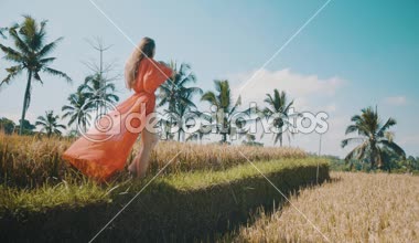 Güzel kadın pirinç tarlaları / güzel pirinç alan - ağır çekimde video boyunca yürüyüş kırmızı şeffaf elbiseli Genç kadın
