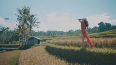 Güzel kadın pirinç tarlaları / güzel pirinç alan - ağır çekimde video boyunca yürüyüş kırmızı şeffaf elbiseli Genç kadın