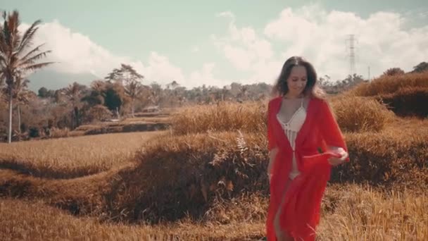 美丽的妇女在稻田里 美丽的年轻女子穿着红色透明的连衣裙沿稻田漫步 视频慢动作 — 图库视频影像