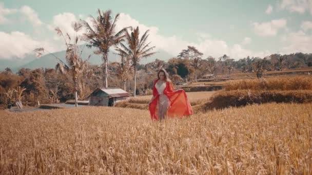 美丽的妇女在稻田里 美丽的年轻女子穿着红色透明的连衣裙沿稻田漫步 视频慢动作 — 图库视频影像
