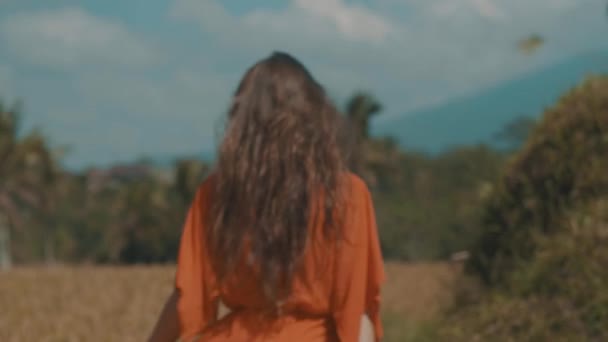 美人田んぼ 美しい田んぼ スローモーションのビデオを歩いている赤の透明なドレスの若い女性 — ストック動画
