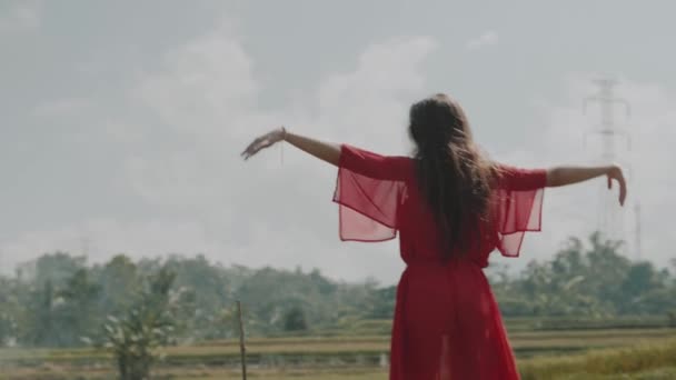 Beautiful Woman Rice Fields Back View Beautiful Young Woman Red — Stock Video