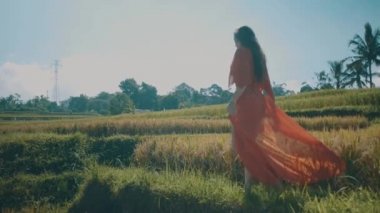 Güzel kadın pirinç tarlaları / güzel pirinç alan - ağır çekimde video boyunca yürüyüş kırmızı şeffaf elbiseli Genç kadın