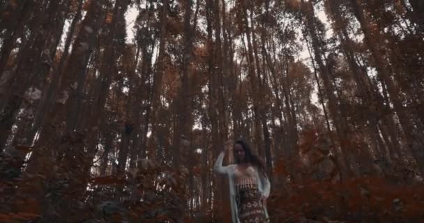 在朦胧的森林里美丽的女人 美丽的黑发女人漫步在朦胧的热带山地森林 视频慢动作 — 图库视频影像