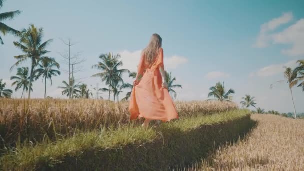 美人田んぼ 美しい田んぼ スローモーションのビデオを歩いている赤の透明なドレスの若い女性 — ストック動画
