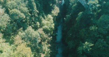 Hava dron görünümünü köprüde duran kız. Yağmur ormanları Kanyon ve Bali, Endonezya köprü görünümü 