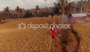 Renkli duman pirinç tarlaları / hava güzel kadınla robot pirinç alan - ağır çekimde video renkli renkli duman dans kırmızı şeffaf elbiseli güzel genç kadın görünümünü