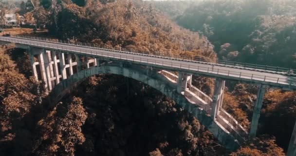 Aerial View Rainforest Canyon Bridge Aerial Drone View Rainforest Canyon — Stock Video