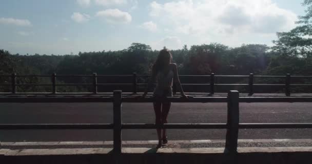 Widok Anteny Drone Dziewczyna Stojąc Moście Widok Kanion Rainforest Most — Wideo stockowe