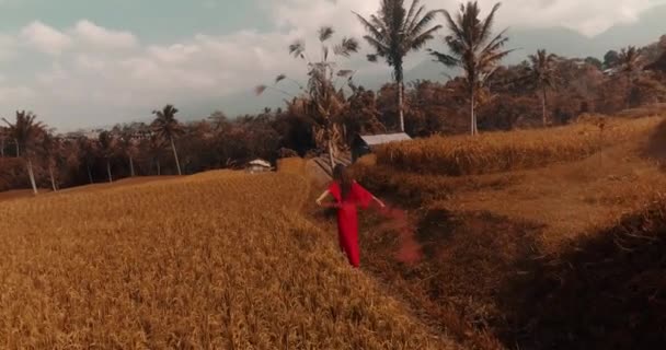 Femeie Frumoasă Fum Colorat Câmpuri Orez Vedere Aeriană Unei Tinere — Videoclip de stoc