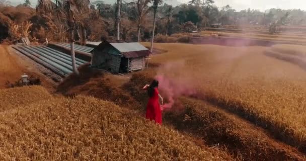 Hermosa Mujer Con Humo Color Los Campos Arroz Vista Aérea — Vídeo de stock