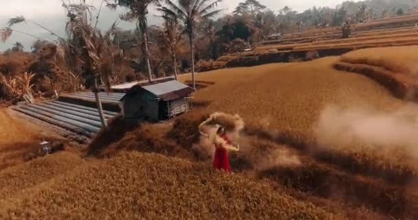 Mooie Vrouw Met Gekleurde Rook Rijstvelden Luchtfoto Drone Uitzicht Mooie — Stockvideo