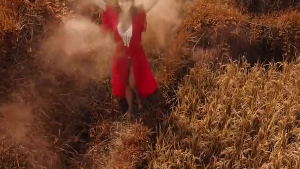 田んぼ 空中色を吸うと美しい女性ドローン田んぼ スローモーションで映像の色で着色された煙と踊る赤い透明なドレスの美しい若い女性のビュー — ストック動画
