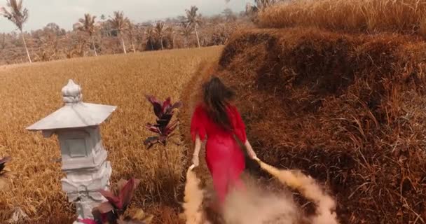 Mooie Vrouw Met Gekleurde Rook Rijstvelden Luchtfoto Drone Uitzicht Mooie — Stockvideo