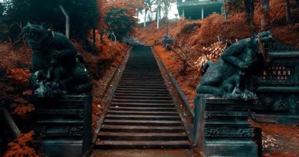 Walking Old Staircase Walking Old Staircase Personal Perspective Point View — Stock Video