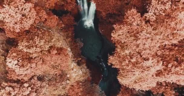 Vista Aérea Del Dron Hermosa Cascada Aling Aling Noah Bali — Vídeos de Stock