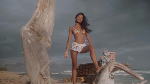 Menina Feliz Bonita Árvore Caída Praia Areia Durante Pôr Sol — Vídeo de Stock