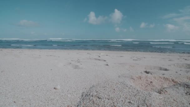 Uitzicht Vanaf Mooie Tropische Zandstrand Aan Verbazingwekkende Oceaan Met Blauwe — Stockvideo