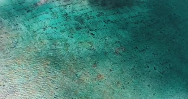 Top View Εναέριο Κηφήνα Πανέμορφη Λιμνοθάλασσα Επιφάνειας Στον Ωκεανό — Αρχείο Βίντεο