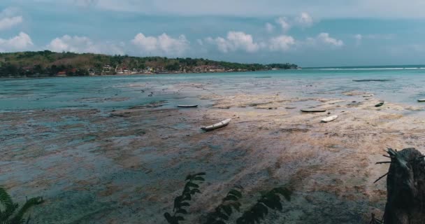 Aerial Drone View Low Tide Beach Nusa Lembongan Island Bali — Stock Video