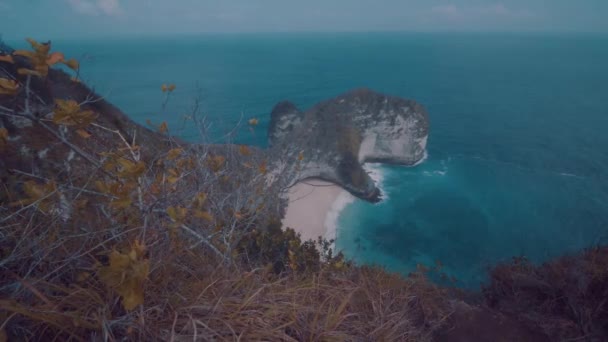 Vackra Kelingking Beach Nusa Penida Bali Indonesien — Stockvideo