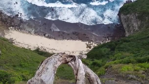 Κάτοψη Του Όμορφη Kelingking Παραλία Nusa Penida Μπαλί Ινδονησία — Αρχείο Βίντεο