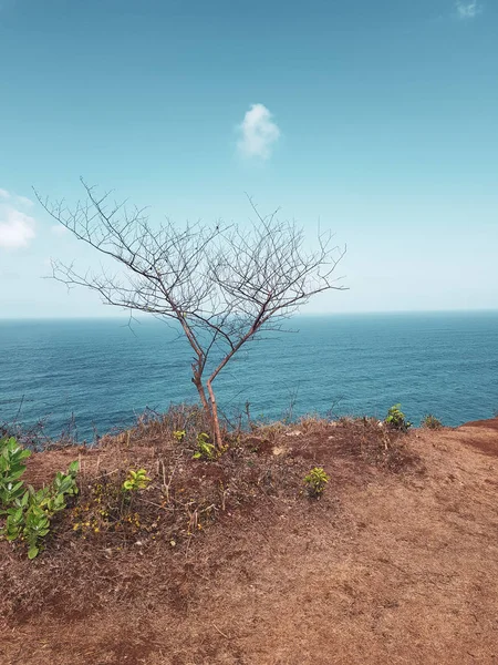 Torr Tall Klippan Över Blå Havet Och Sommaren Himmel Bakgrund — Stockfoto