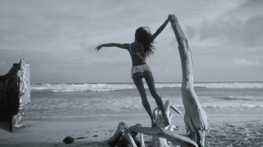 Arkadan görünüşü güzel mutlu kız düşmüş ağaç kumlu plajda üzerinde şaşırtıcı günbatımı - siyah ve beyaz fotoğraf sırasında ayakta