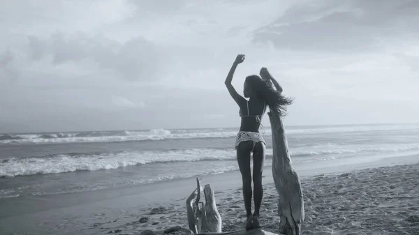驚くべきサンセット 黒と白の写真の中に 砂浜で倒れた木の上に立って美しい幸せな女の子の背面図 — ストック写真