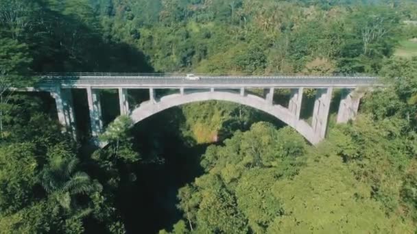 印尼巴厘岛雨林峡谷与桥梁鸟瞰图 — 图库视频影像