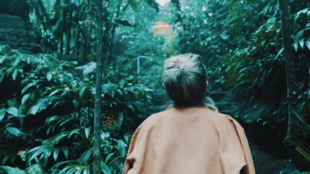 Piękna Dziewczyna Moda Pozowanie Tropikalnej Dżungli Lasów Deszczowych Pobliżu Wodospadu — Wideo stockowe