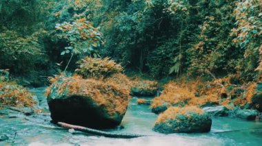 Güzel şelale dağ dere Bali, Endonezya - slow motion video