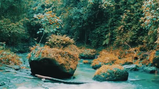 美丽的瀑布山小河在巴厘岛 印度尼西亚 录影在慢动作 — 图库视频影像