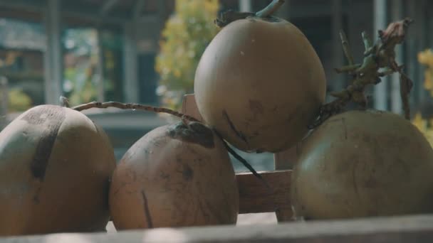 Closeup Banda Čerstvé Kokosové Ořechy Venkovní Video Pomalém Pohybu — Stock video