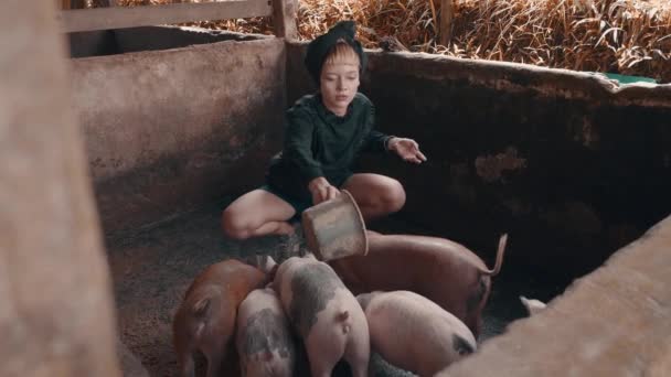 Belle fille de mode nourrissant les porcelets et posant dans une petite ferme porcine sale. Portrait de femme hipster élégant  