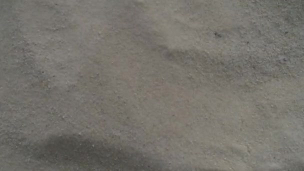 Vue du dessus du vent soufflant sur la plage de sable  
