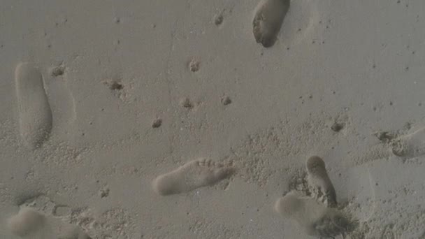 Blick Von Oben Auf Fußabdrücke Sandstrand — Stockvideo