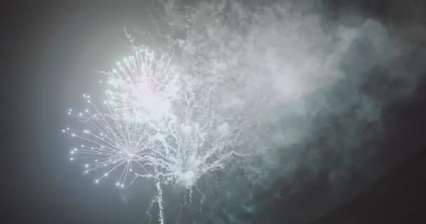 Красочные Фейерверки Праздничную Ночь — стоковое видео
