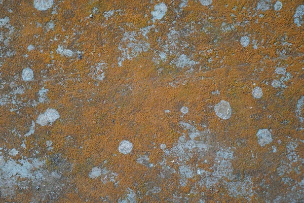 Closeup of wall with mold background