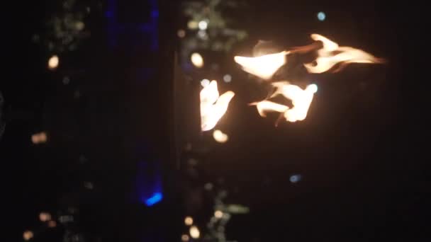 Vertikální Video Closeup Ohně Hořící Pochodeň Venku Noci — Stock video