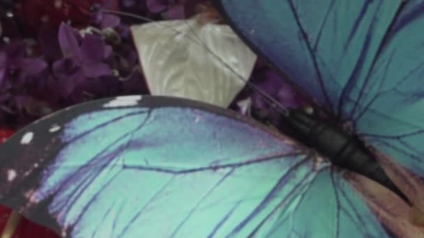 Närbild Blommor Med Falska Butterfly Video Slow Motion — Stockvideo