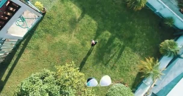 Vue Aérienne Dessus Conducteur Drone Avec Télécommande Debout Sur Herbe — Video