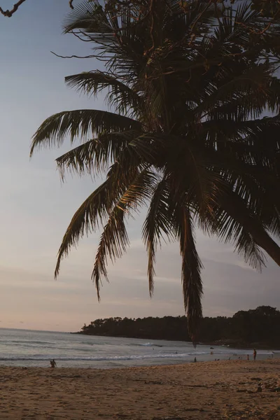 Silueta Palmera Sobre Hermoso Atardecer Tropical Playa Tailandia — Foto de Stock