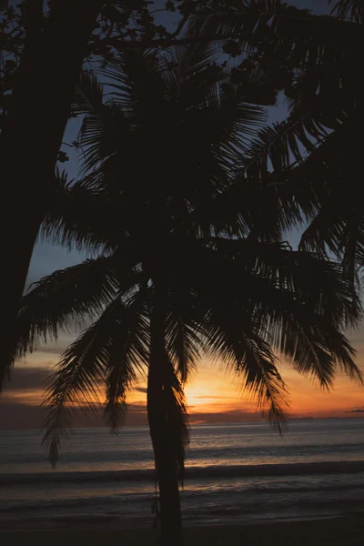 Siluett Palm Över Vackra Tropic Solnedgången Stranden Thailand — Stockfoto