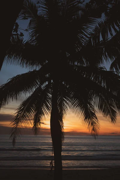 Sylwetka Palmy Nad Piękny Zwrotnik Zachód Słońca Plaży Tajlandii — Zdjęcie stockowe