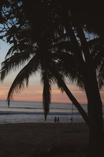 Siluett Palm Över Vackra Tropic Solnedgången Stranden Thailand — Stockfoto