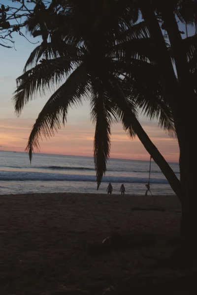 Silhouette Einer Palme Über Einem Wunderschönen Tropischen Sonnenuntergang Strand Thailand — Stockfoto